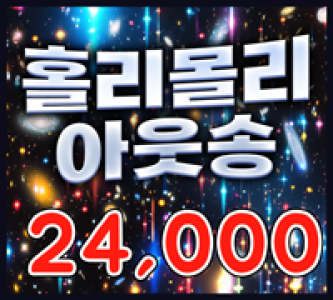 24000 홀리몰리아웃송